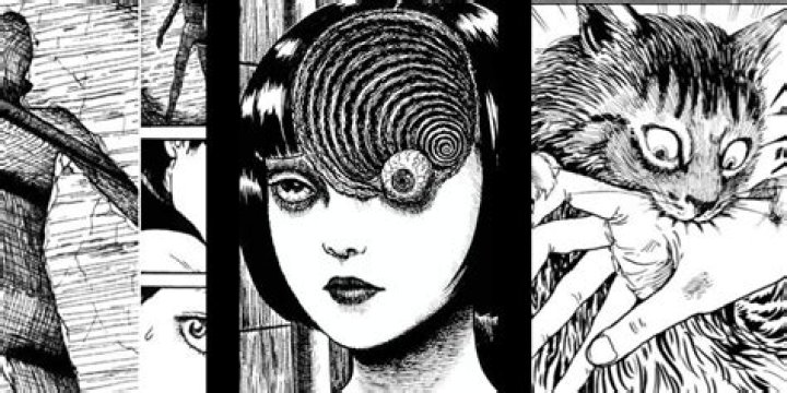 Junji Ito Biography, Age, Height, Wife, Net Worth, Family